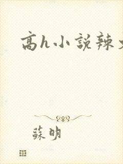 高h小说辣文封面