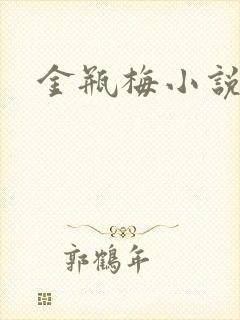 金瓶梅小说下载