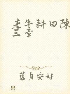 老牛耕田陈雪第三章