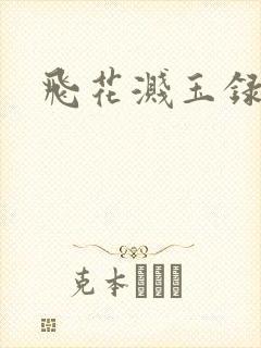飞花溅玉录