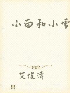 小白和小雪