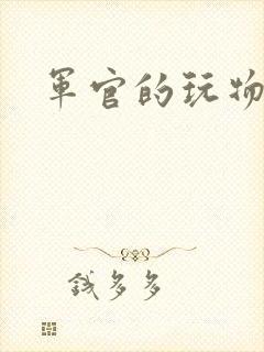 军官的玩物封面