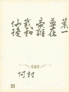 仙武帝尊叶辰最后和谁在一起了封面