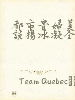 都市贵妇美腿小说杨冰凝全文阅读