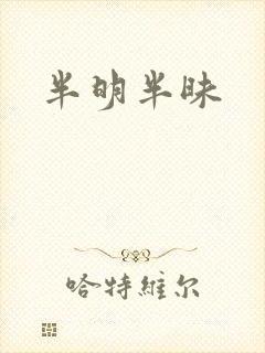 半明半昧
