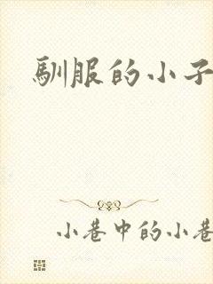 驯服的小子4封面