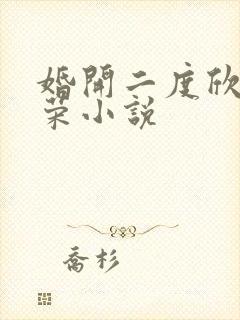 婚开二度欣欣向荣小说
