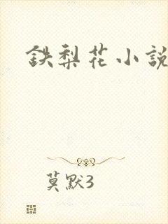 铁梨花小说