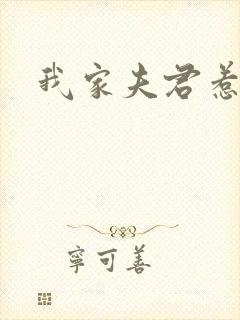 我家夫君惹不起封面