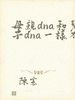 母亲dna和儿子dna一样不封面