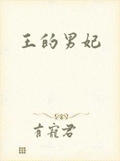 王的男妃封面