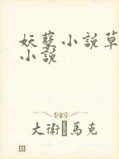 妖孽小说草莓酱小说