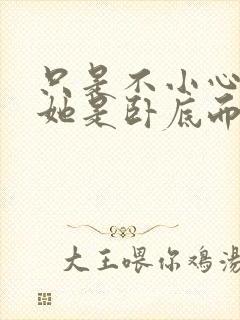 只是不小心发现她是卧底而已