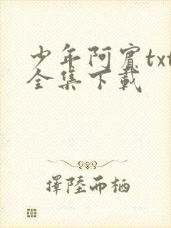 少年阿宾txt全集下载