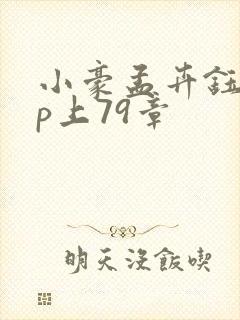 小豪孟卉钰慧三p上79章