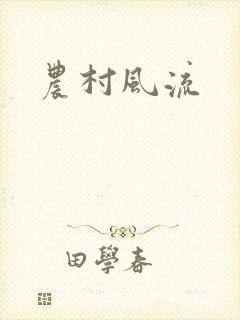农村风流封面