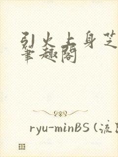 引火上身芝麻糖笔趣阁