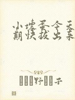 小坏蛋今天危险期快拔出来