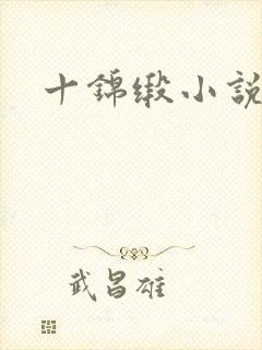 十锦缎小说
