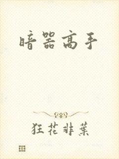 暗器高手