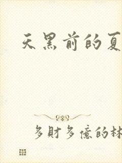天黑前的夏天