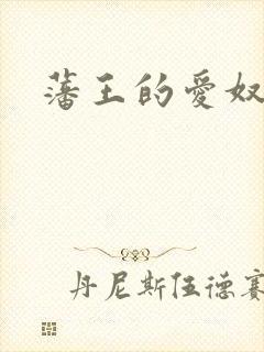 藩王的爱奴封面