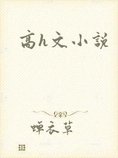 高h文小说