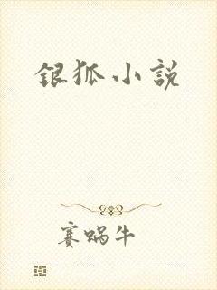 银狐小说封面