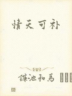情天可补