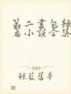 第二书包辣网短篇小说合集封面