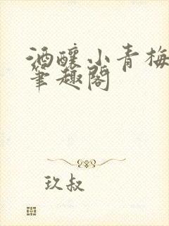 酒酿小青梅po笔趣阁封面