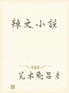 辣文小说