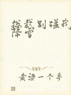 总裁别碰我 韩降雪