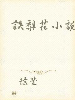铁梨花小说封面