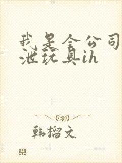 我是全公司的发泄玩具ih