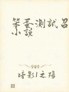 笨蛋测试召唤兽小说封面