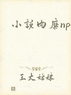 小说肉糜np
