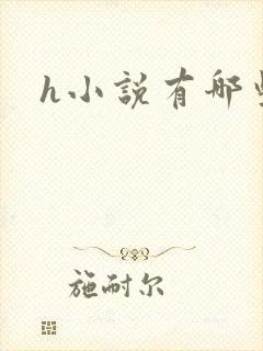 h小说有哪些封面