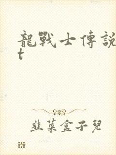 龙战士传说txt