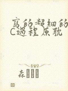 写的超细的多肉C过程原耽