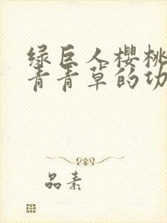 绿巨人樱桃荔枝青青草的功效