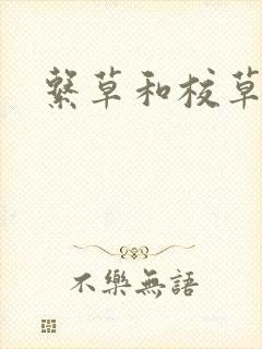 系草和校草封面