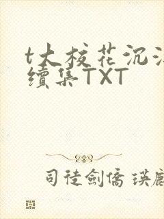 t大校花沉浮录续集TXT封面