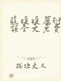 苏暖暖厉衍琛小说全文免费阅读