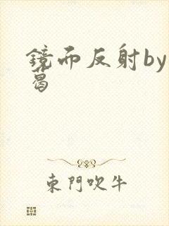 镜面反射by九葛