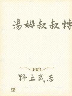 汤姆叔叔转接口