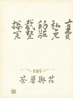 总裁的私有宝贝完整版免费阅读