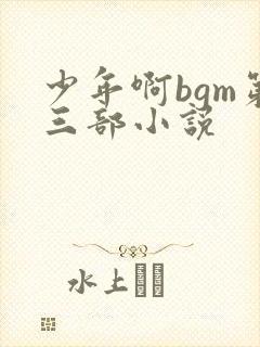 少年啊bgm第三部小说