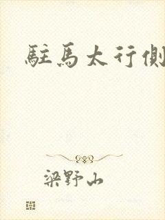 驻马太行侧封面