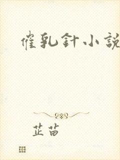 催乳针小说封面